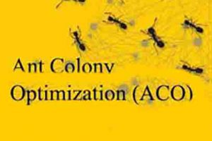 ant-cloni-optimazation